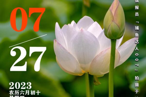2027年1月最佳塑绘时间，智解日历词语解读精选最佳全面解析