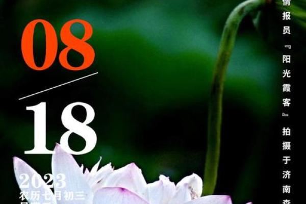 2027年1月份宜分手的日子，绝密破译日历词语解析最佳全面精选释义