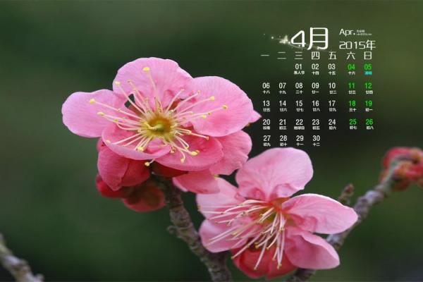 2027年2月份宜进人口黄道吉日有哪几天，重磅日历词语释义解析最佳精选解释