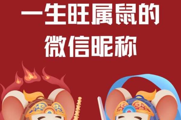 84年鼠女2025每月财运(84年鼠女在2020年的每月运势)