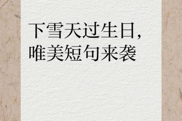 生日在大雪节气祝福语文案 生日遇上大雪节气的文案