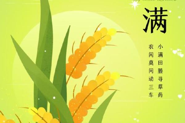 小满是几月几号 每年小满节气是什么时候