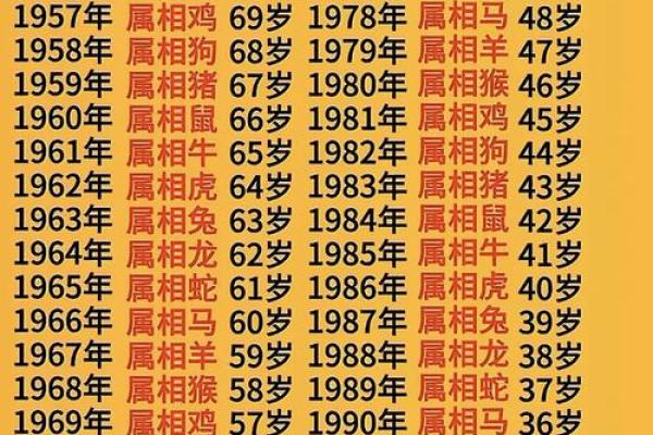 鼠男2025年运势完整版(84年鼠男2025年运势完整版)