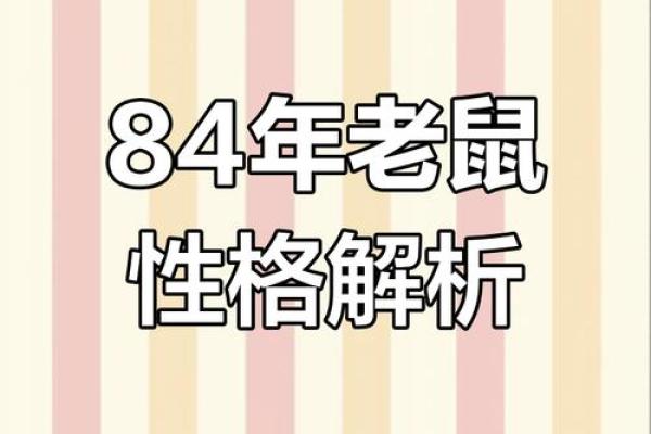 1984年属鼠今年运势(1984年属鼠今年运势如何)