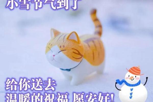 2020年小雪节气结婚好不好 小雪可以结婚吗
