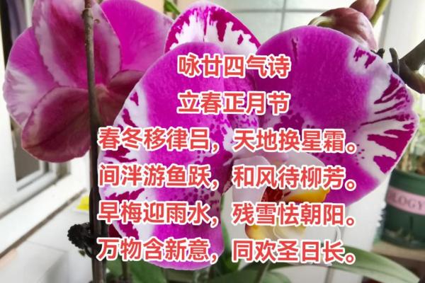 二十四节气立春唯美简洁句子 二十四节气立春唯美