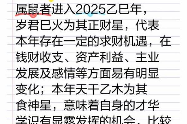 2025鼠的运势和财运(2025年属鼠人的财运如何)