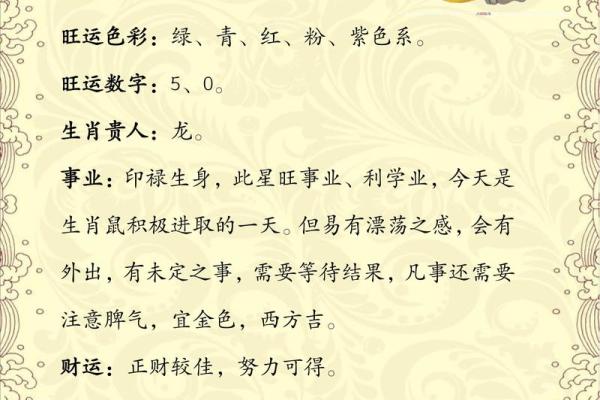 2025鼠的运势和财运(2025年属鼠人的财运如何)