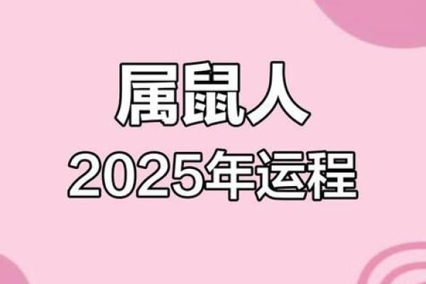 1984鼠在2025运气如何(1984属鼠明年运气)