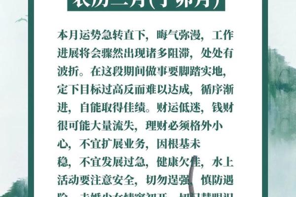 84年属鼠男2025年运势(84年属鼠男2025年运势和婚姻)