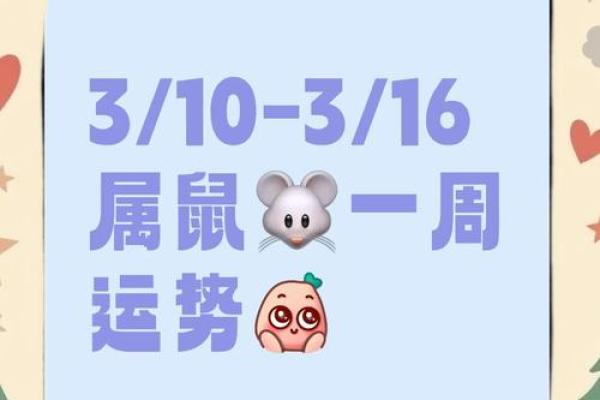 96年鼠男2025年运势完整版(96年属鼠男2022年的运势和婚姻)
