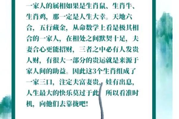 1996年属鼠男2025年全年运势运程(96年属鼠男2021年每月运程)