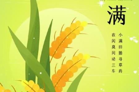小满是几月几号 每年小满节气是什么时候