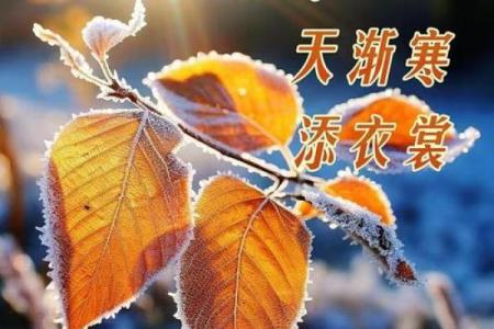 2024立冬节气温暖祝福语