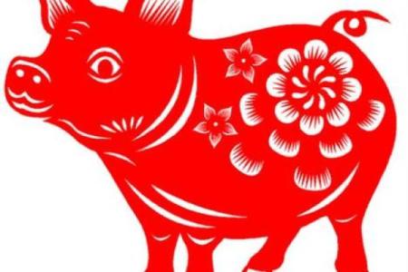 属猪男今年5月结婚吉日