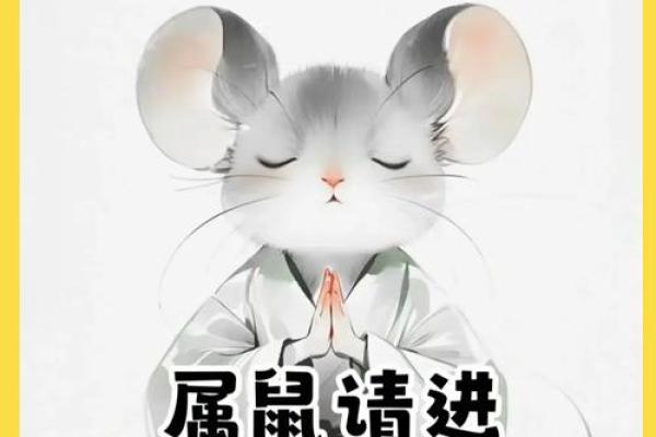 属老鼠的2025年运势和财运怎么样(2025年属鼠的人怎么样)