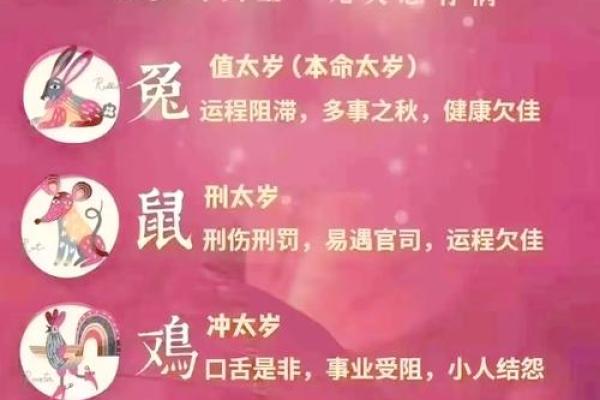 属鼠人今日运势及运程(属鼠人今日运势及运程女性)