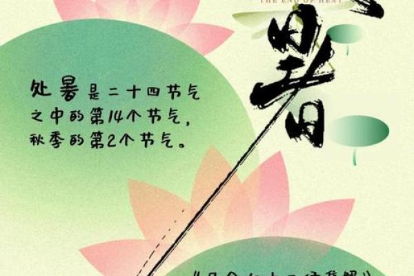 处暑节气的处读几声