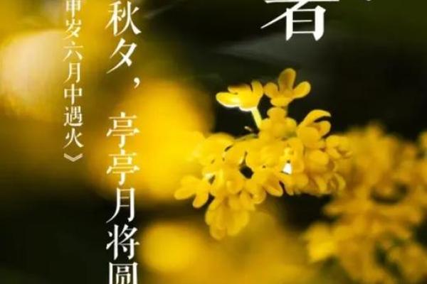 处暑节气的处读几声