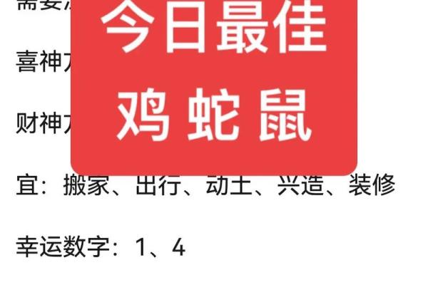 72鼠今日运势(72鼠今日运势最准的)