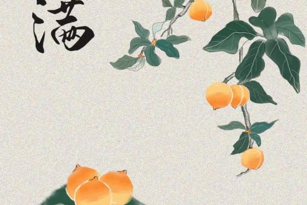 小满节气是什么季节 小满属于夏季节气吗
