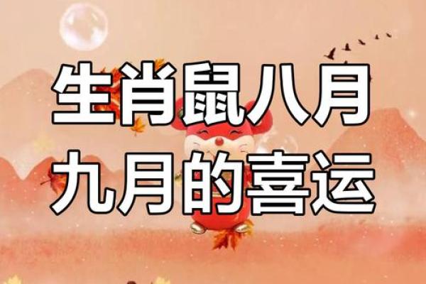 2025年鼠男1984运势及运程(属鼠2024年运势及运程男性)