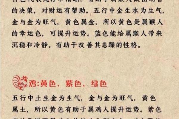 属鼠的人颜色是幸运色(属鼠的人颜色是幸运色吗)