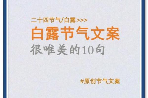 24节气白露走心文案