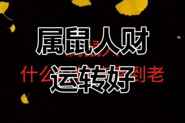 属鼠的人今天打牌的财运(属鼠的人今天打牌的财运怎么样)
