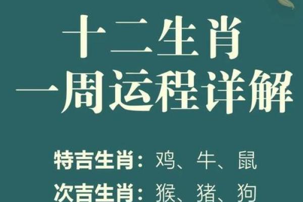 属鼠的人今天打牌的财运(属鼠的人今天打牌的财运怎么样)