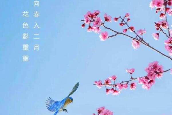 2024年112月份黄道吉日(2024年12月星历表)
