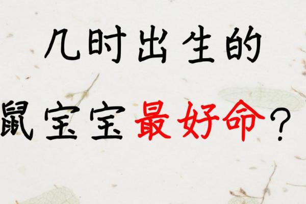 属鼠人的命运(属鼠人的命运怎么样)