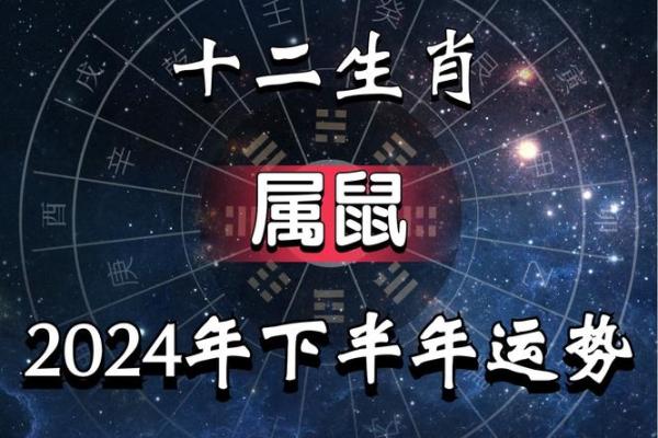 属鼠人今年的运气和财运(属鼠人今年运势如何)