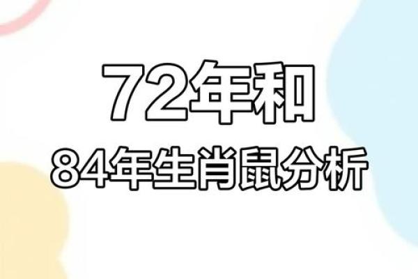 96年属鼠的命运(96年属鼠财运)