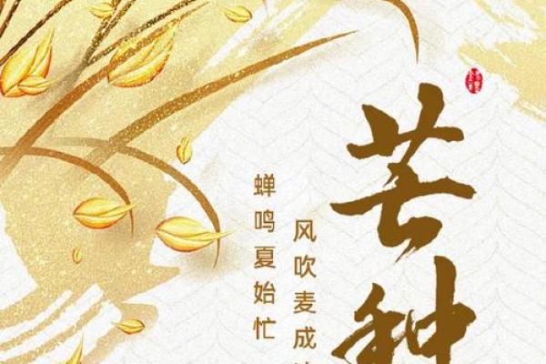 芒种寓意代表什么意思 二十四节气芒种的内涵寓意