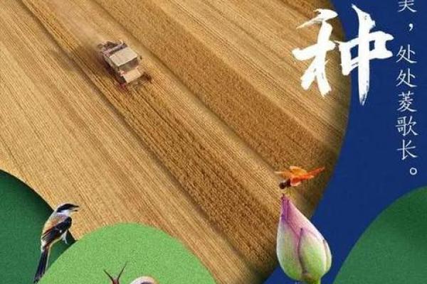 芒种寓意代表什么意思 二十四节气芒种的内涵寓意