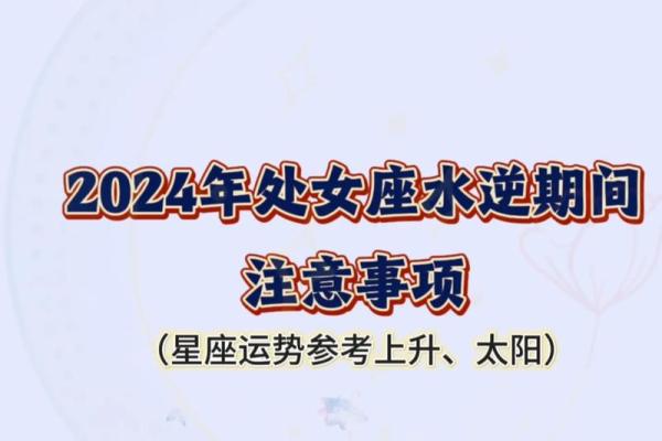 属鼠处女座2025年运势(属鼠处女座2025年运势怎么样)