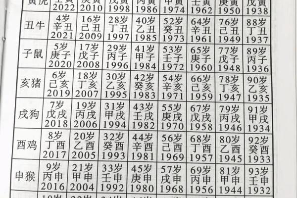 鼠人2026年运势运程(鼠人2026年运势运程每月运程详解)