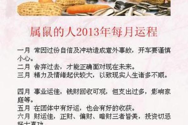 2025鼠年1996运势(属鼠人2025运势及运程)