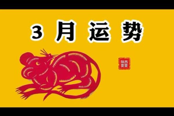 2025年属鼠女每月运势(属鼠2025年运势)