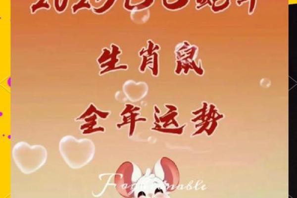 2025鼠年幸运色(2025年属鼠人的运程)