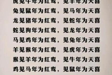 属猴男属龙女5月结婚吉日