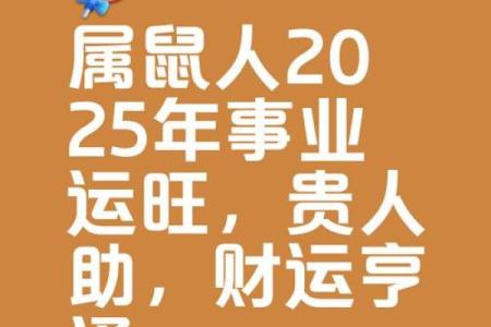 一九七二年属鼠人2025年运势如何(1972年属鼠人的全年运势)