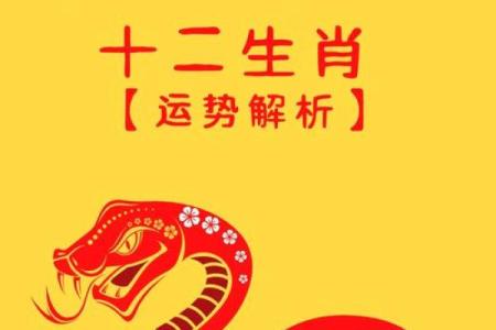 84年2025年属鼠人的全年运势(84年2025年属鼠人的全年运势详解)