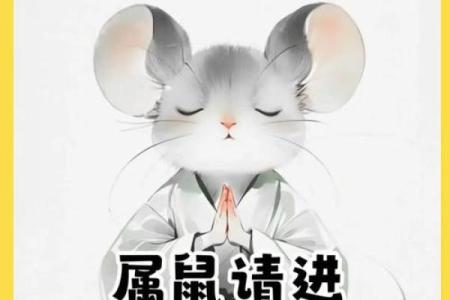 1984年属鼠男2025年运势每月运势(1984年生肖鼠未来五年运势)