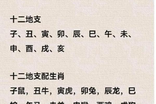 72年属鼠女2025年的运程和每月运势(72年属鼠女2025年的运程和每月运势怎么样)