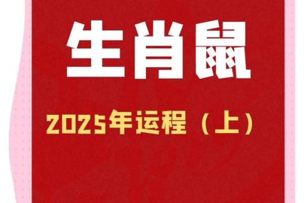 84年的男鼠2025年运势(84年男鼠2025年运势完整版)