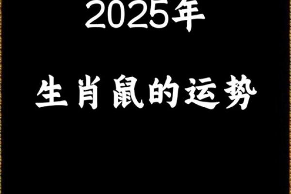 1960年属鼠2025年全年运势(1960年属鼠人2023年运势)