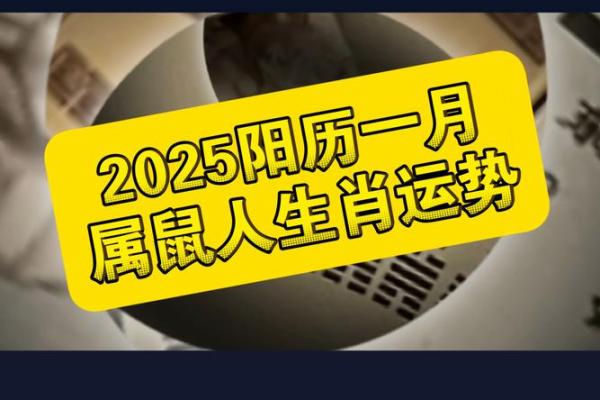 2025年属鼠的运势及运程(2025年属鼠的运势及运程)