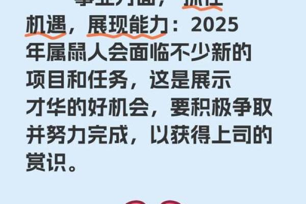 属鼠2025运势及运程(属鼠2025运势及运程详解 易安居)